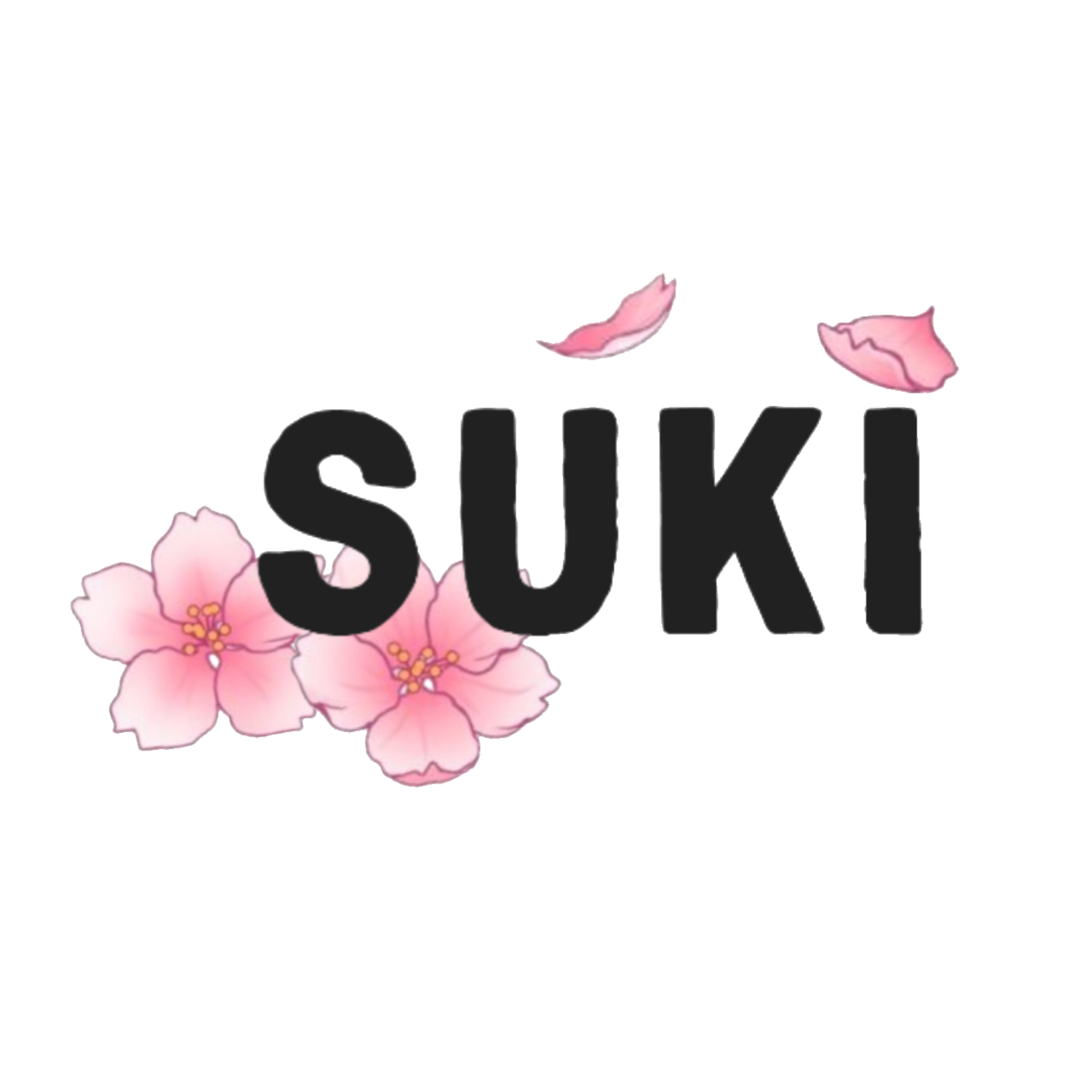 suki-es.com